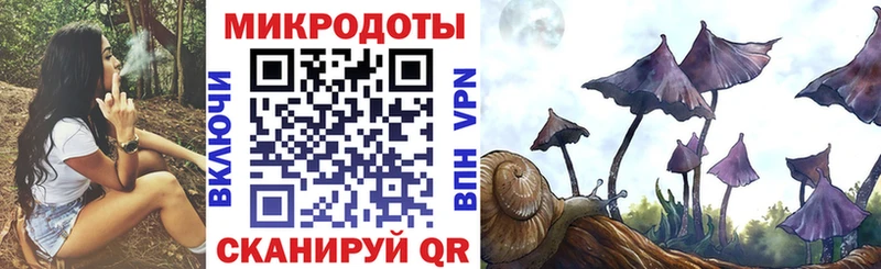 где купить Гаврилов-Ям Галлюциногенные грибы Magic Shrooms